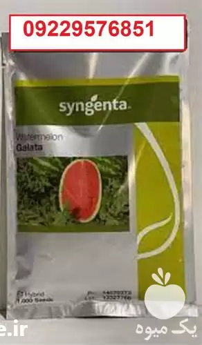بذر هندوانه گالاتا پرفروش اصل در اهواز در گروه خرید و فروش بذر هندوانه در یکمیوه -عکس1