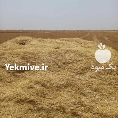کاه گندم در تکاب در گروه خوراک دام و طیور در یکمیوه -عکس1