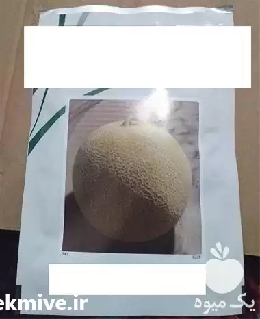 قیمت خرید بذر خربزه جانا با در تهران در گروه خرید و فروش بذر خربزه در یکمیوه -عکس1