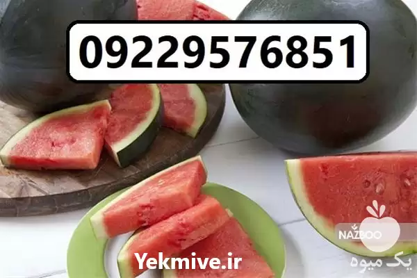 فروش بذر هندوانه شوگر بی بی در گروه خرید و فروش بذر هندوانه در یکمیوه -عکس1