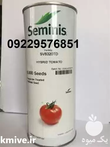 قیمت بذر گوجه فرنگی 8320 پرفروش در بوشهر در گروه خرید و فروش بذر گوجه در یکمیوه -عکس1