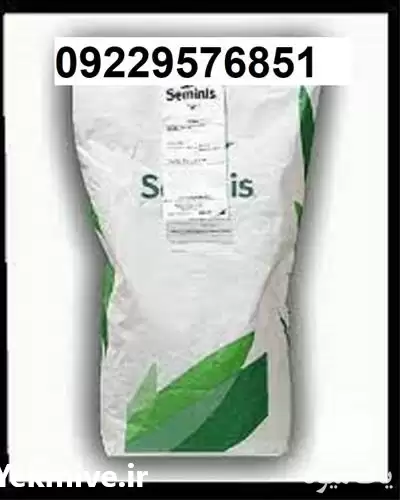 خرید بذر نخود فرنگی پر اصل در کرمان  در گروه خرید و فروش بذر نخود در یکمیوه -عکس1