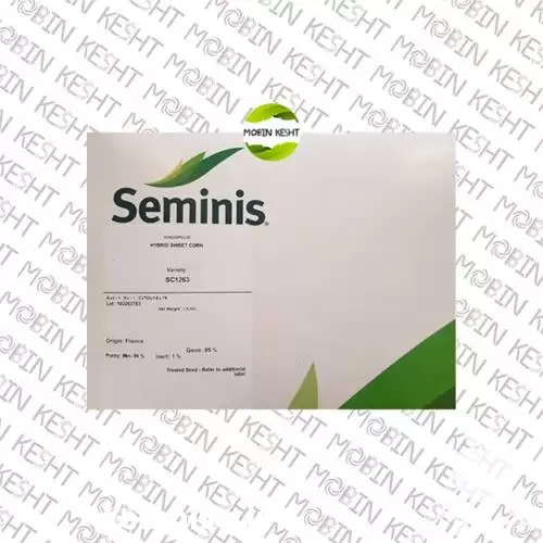 فروش بذر ذرت شیرین 1263 در گروه خرید و فروش بذر ذرت در یکمیوه -عکس1