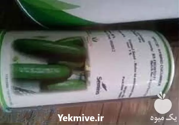 فروش بذر خیار رویال در گروه خرید و فروش بذر خیار در یکمیوه -عکس1