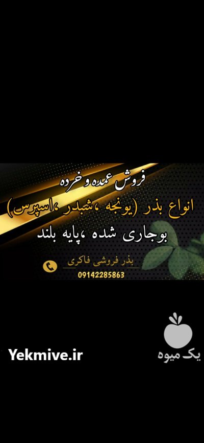 فروش بذر یونجه درجه یک در کبودرآهنگ در گروه خرید و فروش بذر یونجه در یکمیوه -عکس1