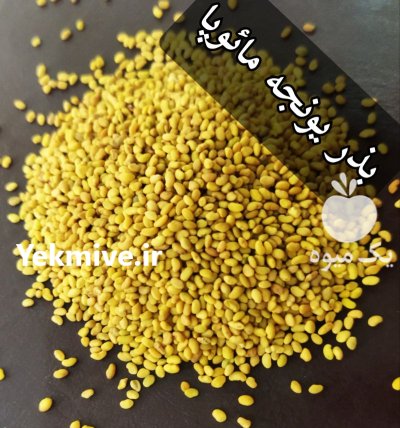 فروش بذر یونجه درجه یک در کبودرآهنگ در گروه خرید و فروش بذر یونجه در یکمیوه -عکس2