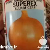 قیمت خرید قیمت بذر پیاز تاکی در گروه خرید و فروش بذر پیاز در یکمیوه