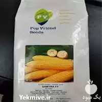 فروش بذر اکسن چوئیت در اصفهان در گروه خرید و فروش انواع بذر در یکمیوه