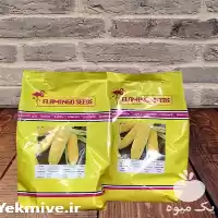 قیمت خرید بذر ذرت سمیرا در تهران در گروه خرید و فروش بذر ذرت در یکمیوه