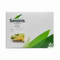 قیمت خرید بذر ذرت مسنجر در گروه خرید و فروش بذر ذرت در یکمیوه