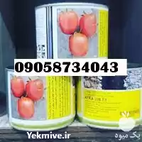 فروش بذر گوجه فرنگی افرا در شیراز در گروه خرید و فروش بذر گوجه در یکمیوه