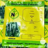 فروش بذر خیار هیمالیا در اهواز در گروه خرید و فروش بذر خیار در یکمیوه