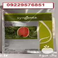 بذر هندوانه گالاتا پرفروش اصل در اهواز در گروه خرید و فروش بذر هندوانه در یکمیوه