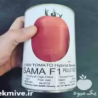 فروش بذر گوجه فرنگی سما در کرمانشاه در گروه خرید و فروش بذر گوجه در یکمیوه