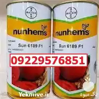 فروش توزیع بذر گوجه فرنگی سانسید در کرمان  در گروه خرید و فروش بذر گوجه در یکمیوه