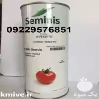 قیمت بذر گوجه فرنگی 8320 پرفروش در بوشهر در گروه خرید و فروش بذر گوجه در یکمیوه