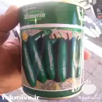 فروش بذر خیار ویلمورین در همدان در گروه خرید و فروش بذر خیار در یکمیوه