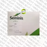 فروش بذر ذرت شیرین 1263 در گروه خرید و فروش بذر ذرت در یکمیوه