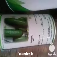فروش بذر خیار رویال در گروه خرید و فروش بذر خیار در یکمیوه