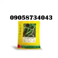 خیار گلوریا پر فروش و اصل در کرمانشاه در گروه خرید و فروش بذر خیار در یکمیوه