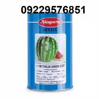 قیمت خرید بذر هندوانه نیاگارا در ایلام در گروه خرید و فروش بذر هندوانه در یکمیوه
