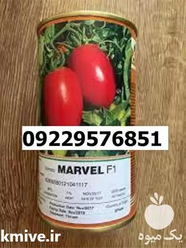 فروش بذر گوجه فرنگی مارول اصل در گروه خرید و فروش بذر گوجه در یکمیوه -عکس1