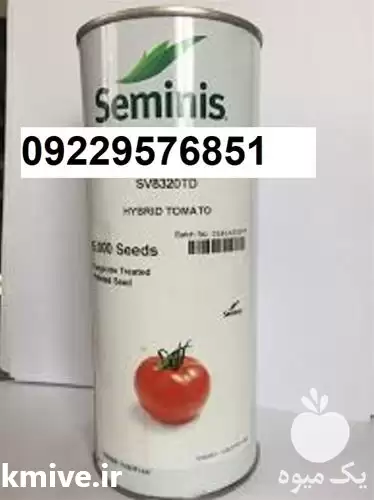 بذر گوجه فرنگی 8320 پر فروش در اهواز در گروه خرید و فروش گوجه فرنگی در یکمیوه -عکس1