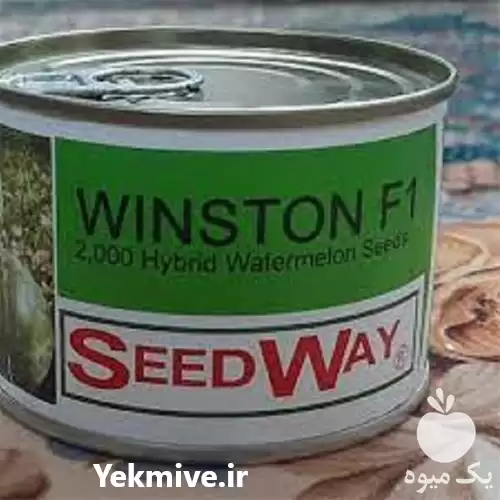 بذر هندوانه وینستون پرفروش اصل در تهران در گروه خرید و فروش هندوانه در یکمیوه -عکس1