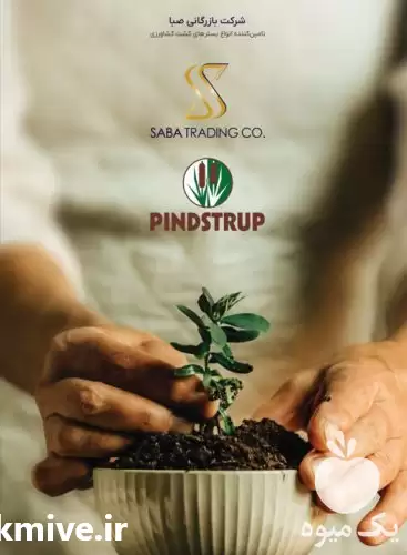 فروش پیت ماس بستر کشت در تهران در گروه خرید و فروش انواع کود کشاورزی در یکمیوه -عکس1