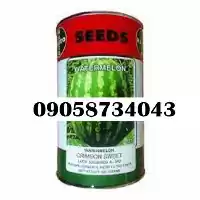 بذر هندوانه ناسکو بذر پر فروش در گرگان در گروه خرید و فروش بذر هندوانه در یکمیوه