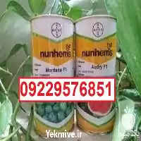 بذر هندوانه مونتانا پرفروش اصل در اصفهان در گروه خرید و فروش بذر هندوانه در یکمیوه