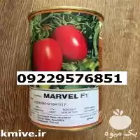 فروش بذر گوجه فرنگی مارول اصل در گروه خرید و فروش بذر گوجه در یکمیوه