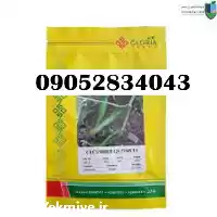 قیمت خرید بذر خیار گلوریا یک در هرمز در گروه خرید و فروش بذر خیار در یکمیوه