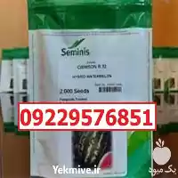 فروش بذر هندوانه B 32 در اصفهان در گروه خرید و فروش بذر هندوانه در یکمیوه