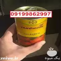 فروش بذر گوجه فرنگی سانسید 6189 در بوشهر در گروه خرید و فروش بذر گوجه در یکمیوه