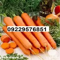 بذر هویج نانکو پر فروش اصل در گروه خرید و فروش بذر هویج در یکمیوه