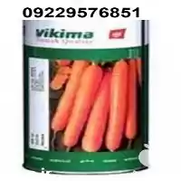 قیمت خرید بذر هویج نانکو اصل در گروه خرید و فروش بذر هویج در یکمیوه