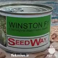 بذر هندوانه وینستون پرفروش اصل در تهران در گروه خرید و فروش هندوانه در یکمیوه