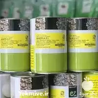 فروش بذر پیاز مینروا در گروه خرید و فروش بذر پیاز در یکمیوه