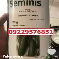 قیمت خرید بدر خیار N 2 اصل در گروه خرید و فروش بذر خیار در یکمیوه