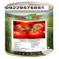 قیمت خرید بذر گوجه فرنگی راک در اهواز در گروه خرید و فروش بذر گوجه در یکمیوه