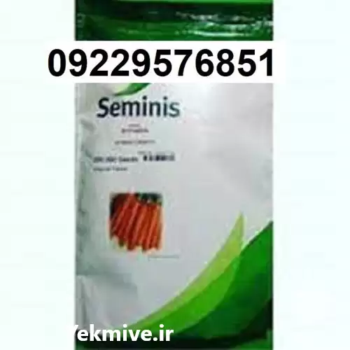 قیمت بذر هویج سمینیس پرفروش اصل در ایلام در گروه خرید و فروش بذر هویج در یکمیوه -عکس1