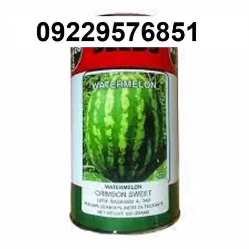 قیمت خرید بذر هندوانه ناسکو اصل در اهواز در گروه خرید و فروش بذر هندوانه در یکمیوه -عکس1