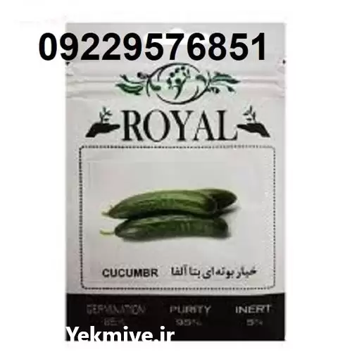 بذر خیار رویال پر فروش اصل در گروه خرید و فروش بذر خیار در یکمیوه -عکس1