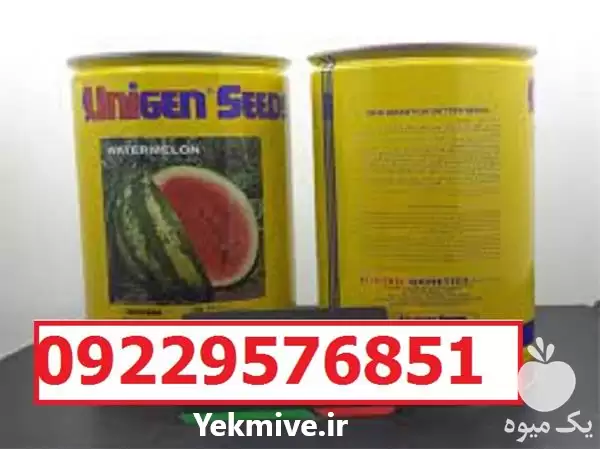 قیمت خرید بذر هندوانه یونی ژن در شیراز در گروه خرید و فروش بذر هندوانه در یکمیوه -عکس1