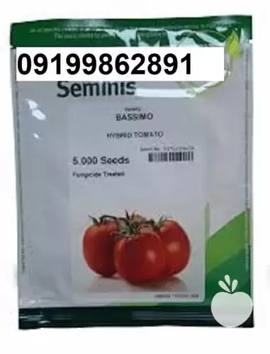 بذر گوجه فرنگی باسیمو پر فروش در اهواز در گروه خرید و فروش گوجه فرنگی در یکمیوه -عکس1