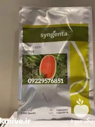 فروش بذر هندوانه گالاتا در گروه خرید و فروش بذر هندوانه در یکمیوه -عکس1