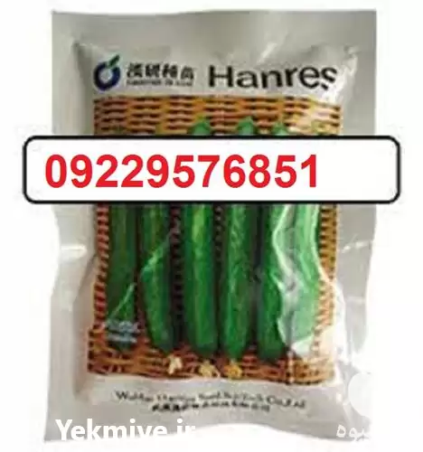 بذر خیار ویکتوریا پرفروش اصل در کرمان  در گروه خرید و فروش بذر خیار در یکمیوه -عکس1