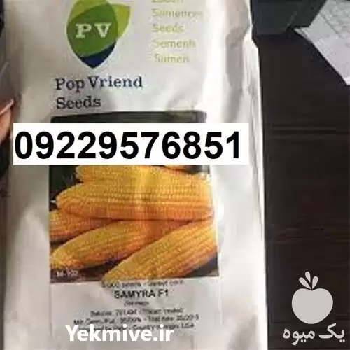 فروش بذر ذرت سمیرا در گروه خرید و فروش بذر ذرت در یکمیوه -عکس1