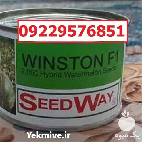 فروش بذر هندوانه وینستون در بوشهر در گروه خرید و فروش بذر هندوانه در یکمیوه -عکس1